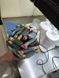 7ECEA0EF-6A4D-45CD-A47A-EAC6135ACC49