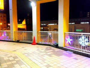 IMG_0871