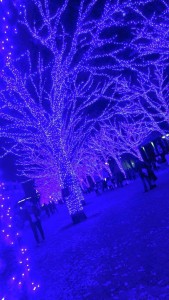 9A992EFD-7F5C-4A4F-932C-E6984CDD1BB0