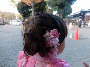 IMG_0987