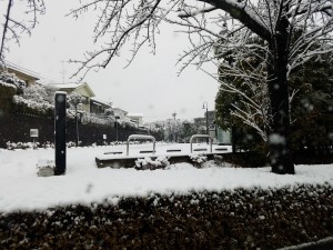 20180202_074826