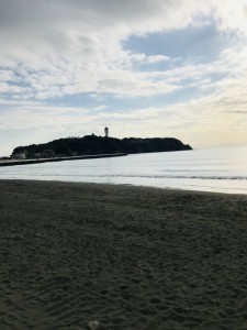 8E131877-9B53-4CCA-B1EE-586F4539CA46